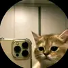 Donovan Gomez - @donovan.gomez08 - TikTok