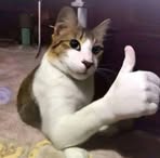 Donovan González - Facebook