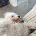 Donovan Gray - Facebook