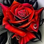 Donovan Guinn - Facebook