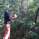 Donovan Jenkins/tree guy🌲 - @donny_jenkinsdd - Instagram