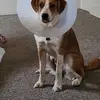 Donivan Haase - @donivan.haase - TikTok