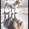 billy - @donovanhare595 - TikTok