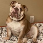 Donovan Harmon - Facebook