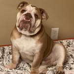 Donovan Harmon - @donovan.harmon.984 - Instagram