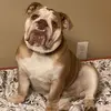 donovanharmon7 - @donovanharmon7 - TikTok