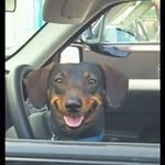 Donovan Hayes - @donovanhayes - Instagram