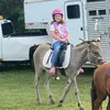 ellendonovanhayes - @ellen.donovan.hay - TikTok