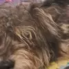 Donovan HEATH - @donovan.heath - TikTok