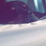 Donovan Henderson - @dododird1212 - Instagram