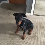 Donovan Henderson - @dodobird5002 - Instagram