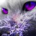 Donovan Henrion - Facebook