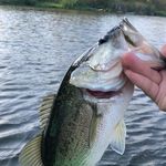 Donovan Higgins - @fp.jiggin - Instagram