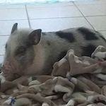 Donovan Hodges - @hodges.donovan - Instagram