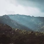 Donovanhodges - @donovanhodges12 - Instagram