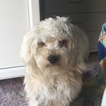 FNFGamer16 - @donovan.hoffmann - Instagram