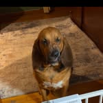 Nelson Donovan Hogan - @nelsonsbucketlist - Instagram