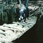 Keith Donovan - @keith.donovan.908 - Instagram