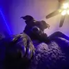 donovan.lane_1738 - @donovan.lane_1738 - TikTok