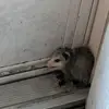 Lee Donovan - @lee.donovan1 - TikTok