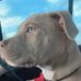 Donovan Leonard - Facebook