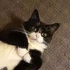 Donovan Marsh775 - @tomcat196684 - TikTok