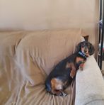 Donovan McCormick - Facebook