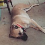 Donovan Mckay - @mckay_donovan - Instagram