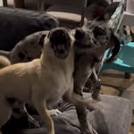 Donovan Morrison - @donovan.morrison - Instagram