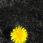 Donovan Murphy - @donovan.murphy.142687 - Instagram