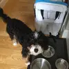 donovanmurphy12 - @donovanmurphy12 - TikTok