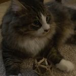Donovan Arroyo-Olson - @arroyoolson - Instagram