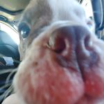 donovan olson - @ne_waste - Instagram