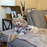 Donovan Padgett - @donovanpadge - Instagram