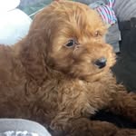 donovan parker - @donnyparkerr - Instagram