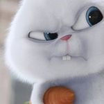 Donovan Perez - @donovan.perez.77964 - Instagram