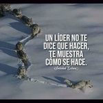 Randall Donovan - @randall.donovan.969 - Instagram