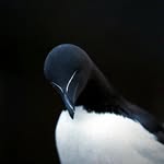 Donovan Richard - @donachin.12 - Instagram