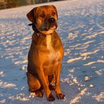 Donovan Robertson - Facebook