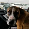 Donovan_Sharp - @sharp_donovan - TikTok