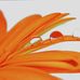 Donovan Shaw - Facebook