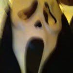 Donovan F Shea - @donovanshea - Instagram