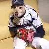 donovan.skinner7 - @donovan.skinner7 - TikTok