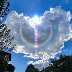 Ellen Donovan Townsend - Facebook