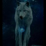 Donovan Vasquez - @donovan.vasquez.395669 - Instagram