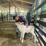 Donovan Vásquez - @dovaxx_2008_ - Instagram