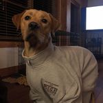 Donovan White - @whiteridgeconstruction - Instagram