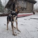 Donovan Wise - Facebook