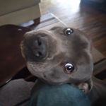 Donta Davis - @donta.davis.3532 - Instagram