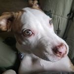 Donta Davis - @donta.davis.982 - Instagram